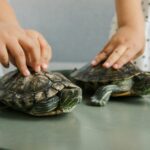 Two children gently handling turtles on a table indoors, focusing on interaction and care.